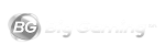 BigGamming